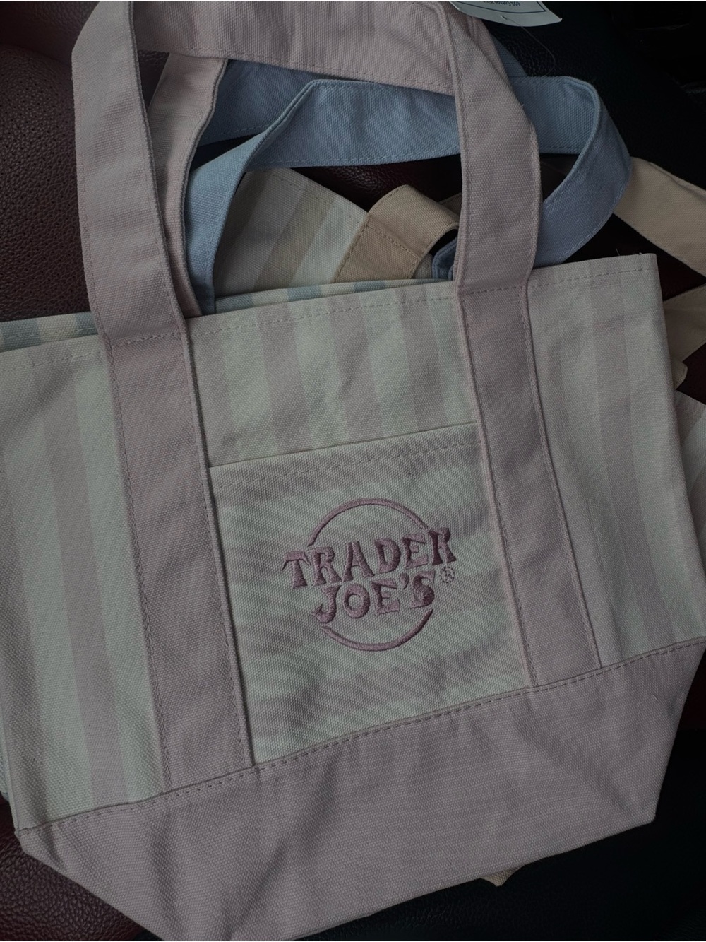 Trader Joe’s Beach Tote